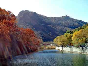 管家婆黑白马报图库，卡康尼节油器骗局